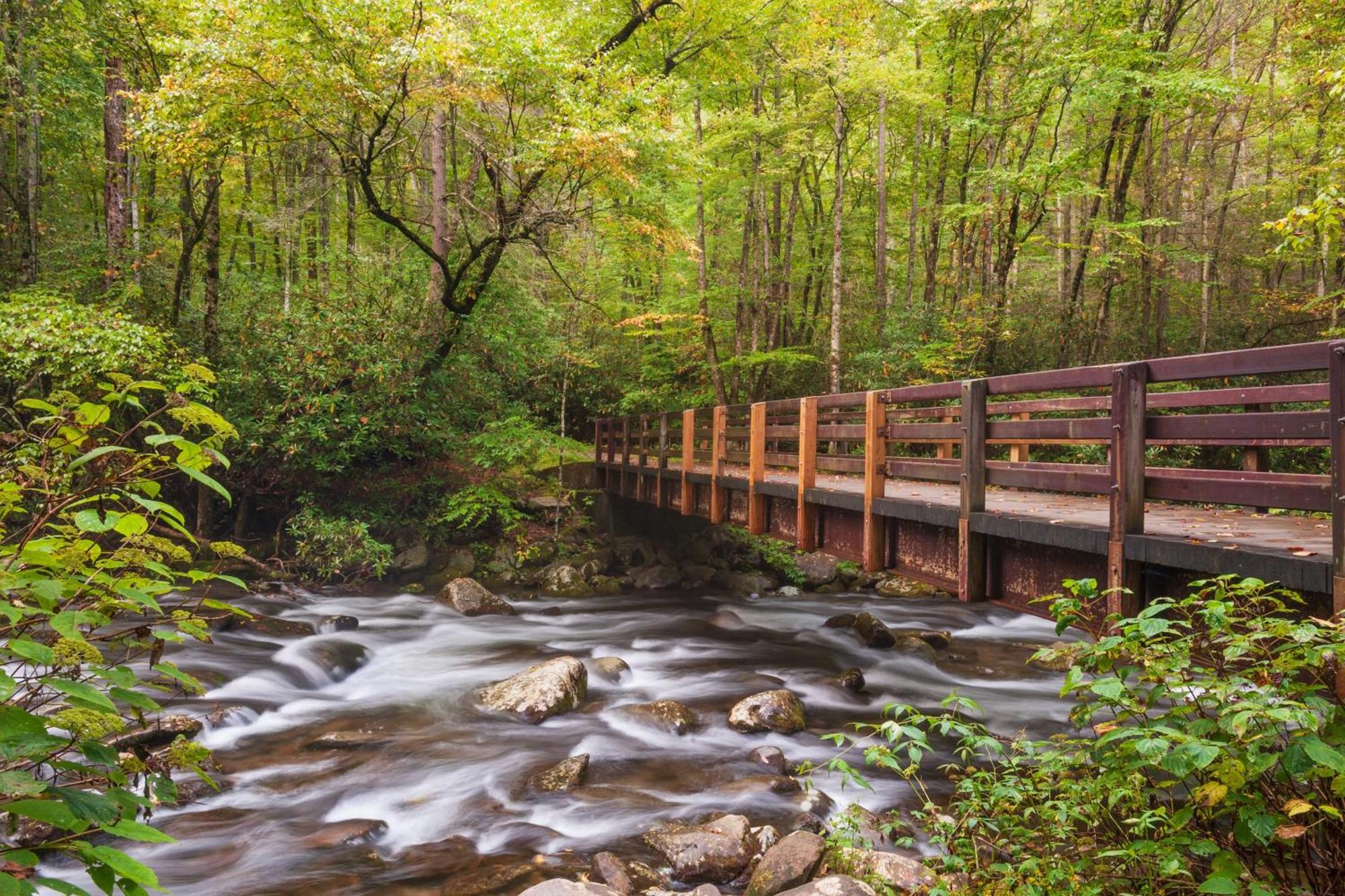 Bear Den, Hot Tub, 1089 Of Free Attraction Tickets For Each Paid Day, Dollywood And More! Sevierville Dış mekan fotoğraf