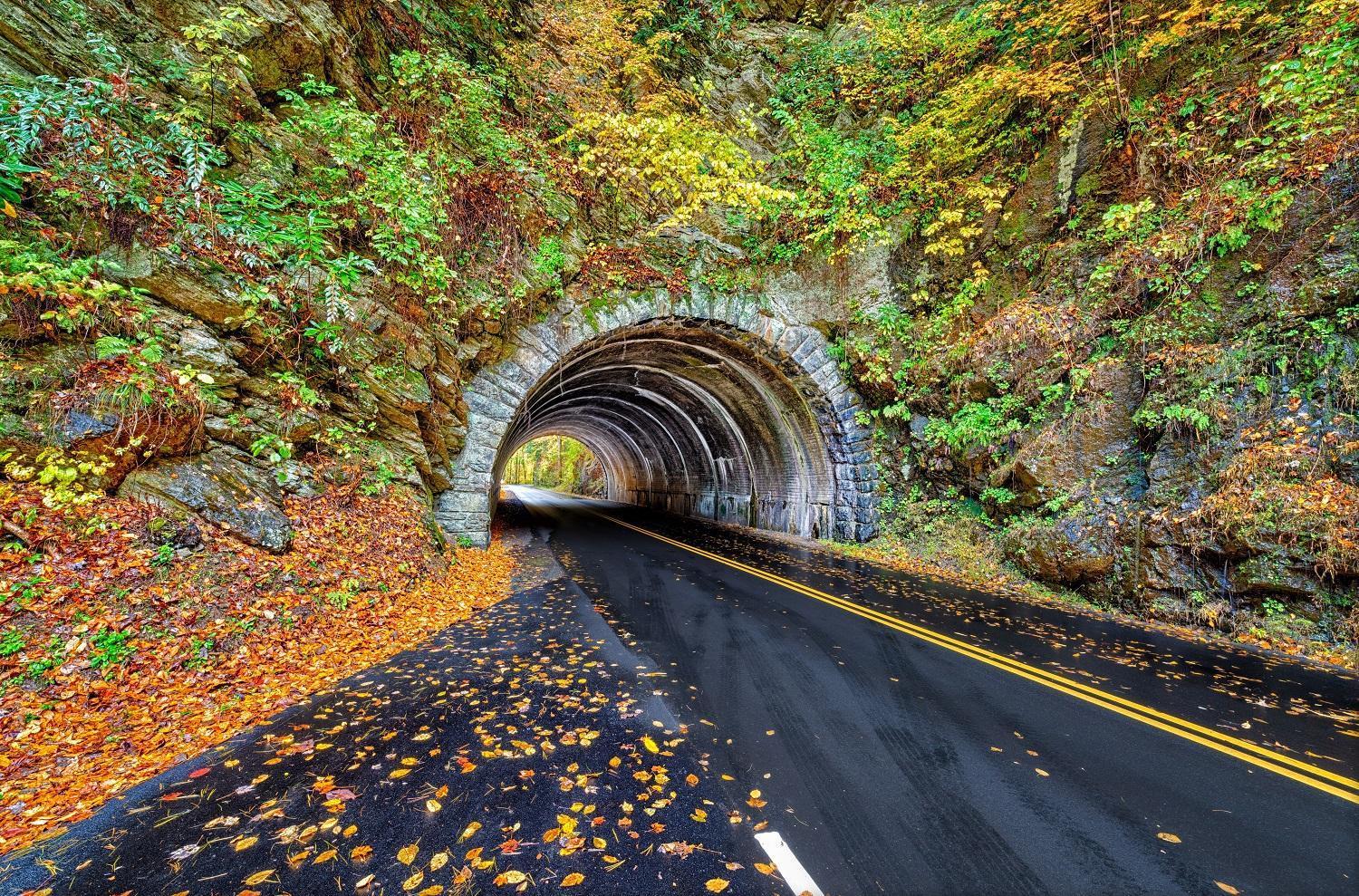 Bear Den, Hot Tub, 1089 Of Free Attraction Tickets For Each Paid Day, Dollywood And More! Sevierville Dış mekan fotoğraf